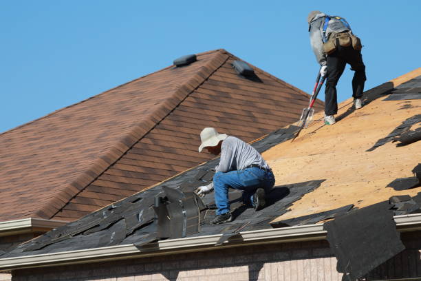 Best Commercial Roofing Services  in Waterloo, IL